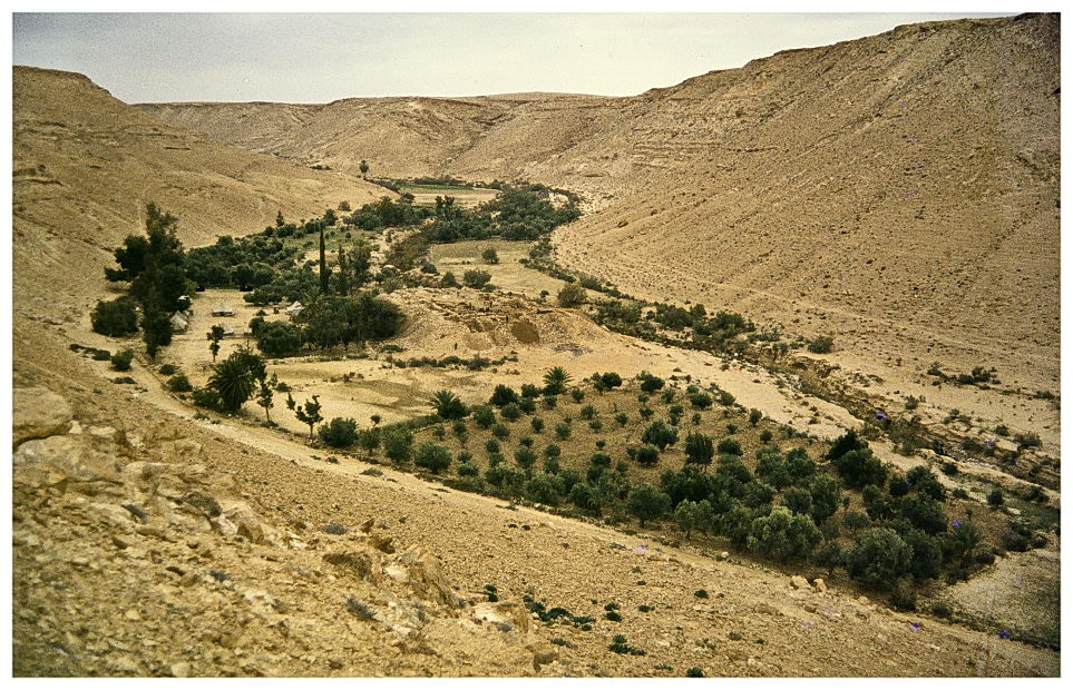 israel 1980, kadesh barnea
