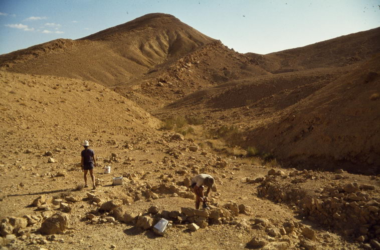 israel, survey, 1979/80