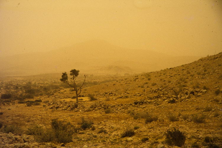 israel, survey, nahal ezuz, 1/1980