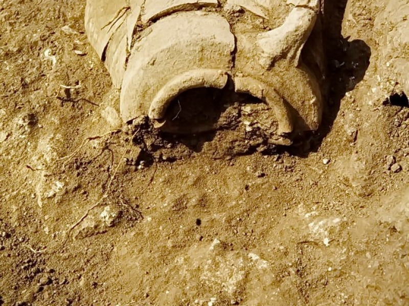 tel akko, israel 1979