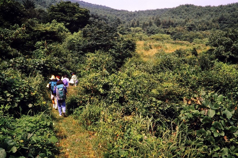 ososan, ausflug mit song-won lee u.a., südkorea 1991