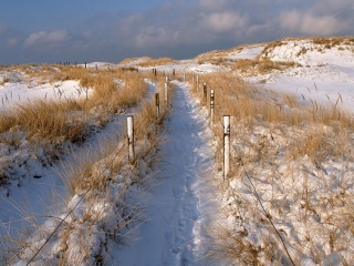 amrum, dünen + kniepsand im winter 2006