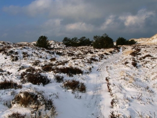amrum, dünen + kniepsand im winter 2006