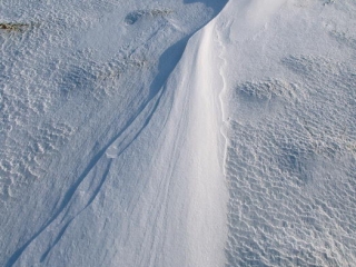 amrum, dünen + kniepsand im winter 2006
