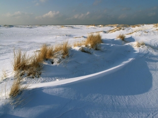 amrum, dünen + kniepsand im winter 2006