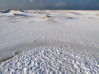 amrum, dünen + kniepsand im winter 2006