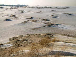 amrum, dünen + kniepsand im winter 2006