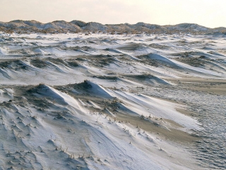 amrum, dünen + kniepsand im winter 2006