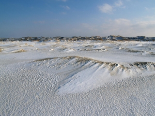 amrum, dünen + kniepsand im winter 2006