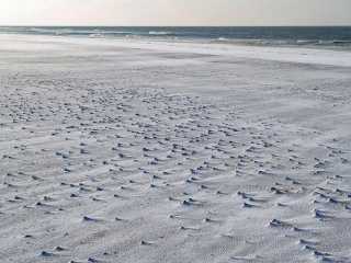 amrum, dünen + kniepsand im winter 2006