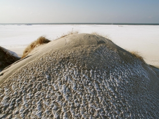 amrum, dünen + kniepsand im winter 2006
