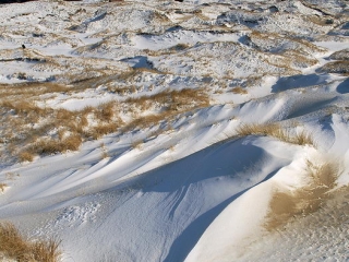 amrum, dünen + kniepsand im winter 2006