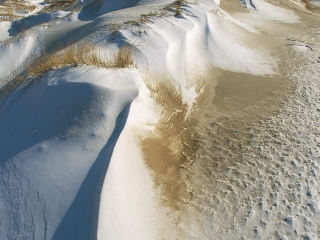 amrum, dünen + kniepsand im winter 2006
