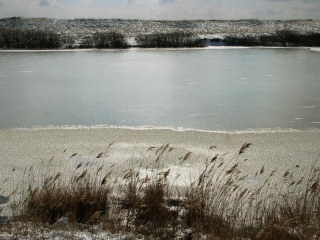 amrum, dünen + kniepsand im winter 2006
