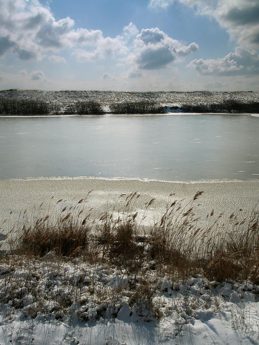 amrum, dünen + kniepsand im winter 2006