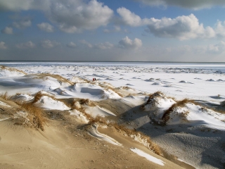 amrum, dünen + kniepsand im winter 2006