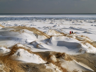 amrum, dünen + kniepsand im winter 2006