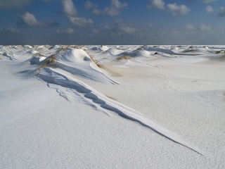 amrum, dünen + kniepsand im winter 2006