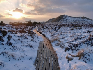 amrum, dünen + kniepsand im winter 2006