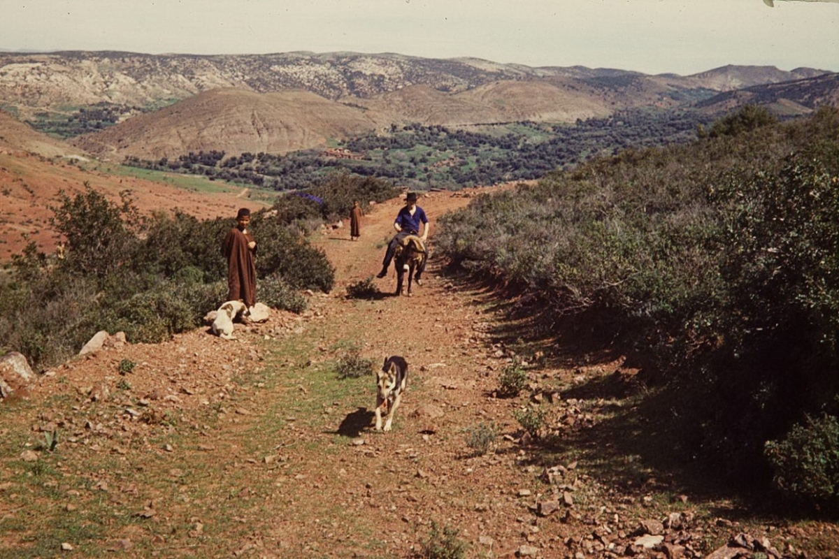 hoher atlas, marokko 1968