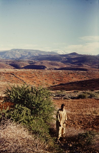 blick auf den hohen atlas, marokko 1968
