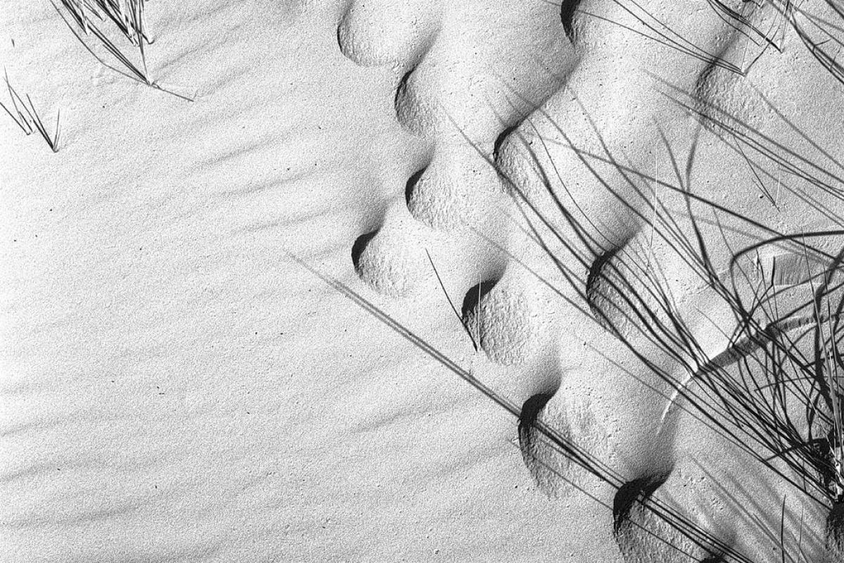 strukturen am meer, kniepsand, amrum 2003, schwarz-weiß