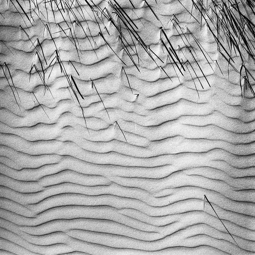 strukturen am meer, kniepsand, amrum 2003, schwarz-weiß