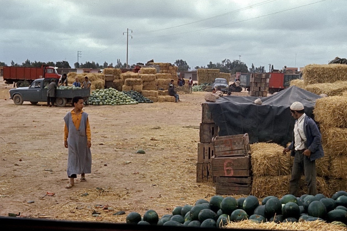 von casablanca per anhalter nach tan tan (ca 800km) ,melonenmarkt in ait melloul, 1969