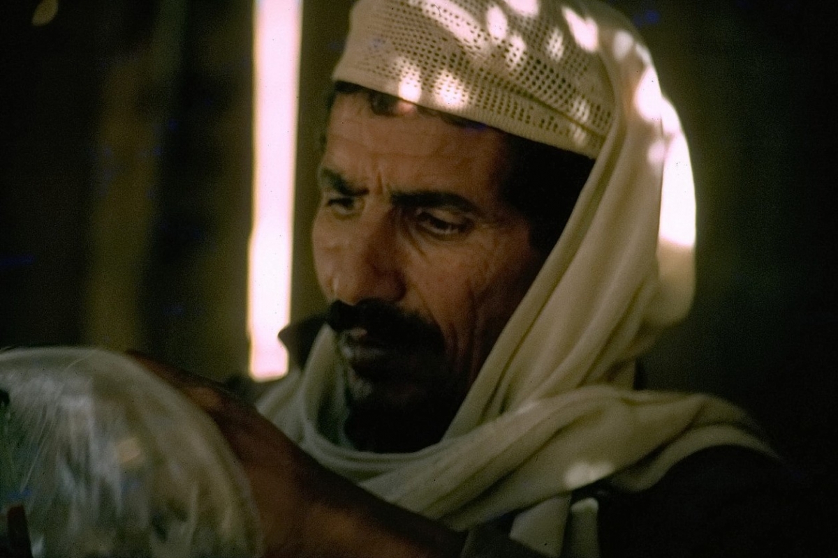 teepause im sinai, israel, 1978