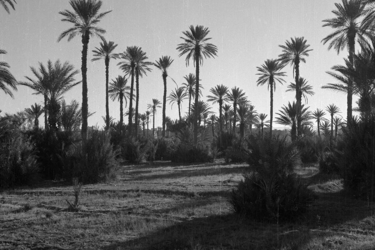 bei erfoud, masrokko 1969