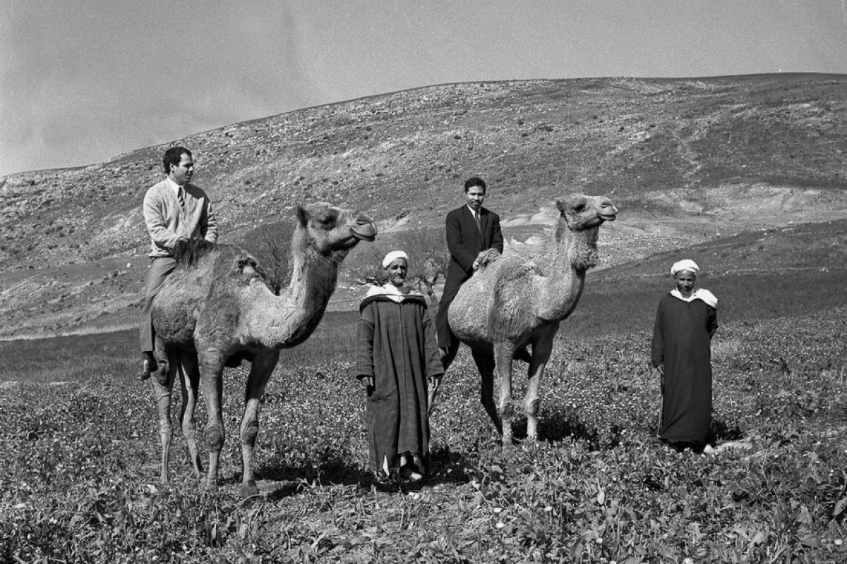 väter und söhne, marokko 1969