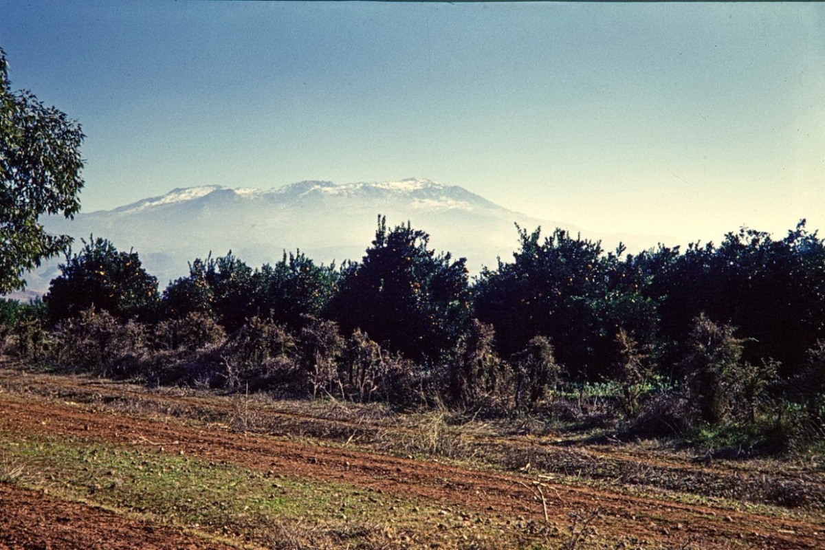 blick auf den hohen atlas, marokko 1968